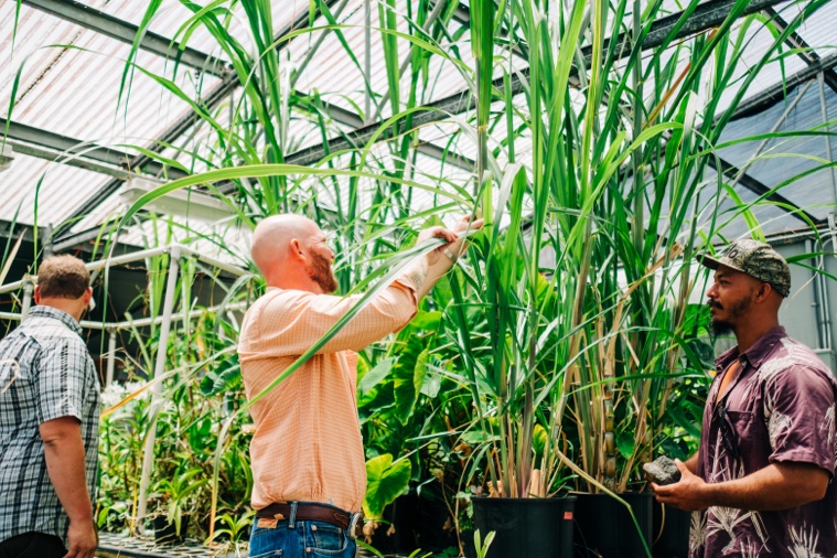 playtime withdrawal maintenance today