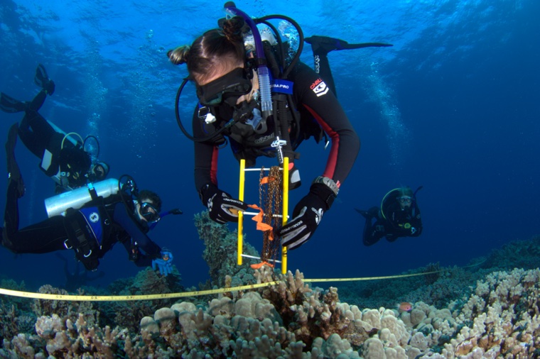 playtime withdrawal maintenance today