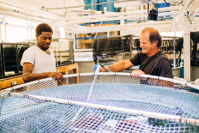 playtime withdrawal issue