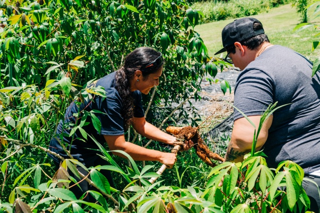 playtime withdrawal maintenance